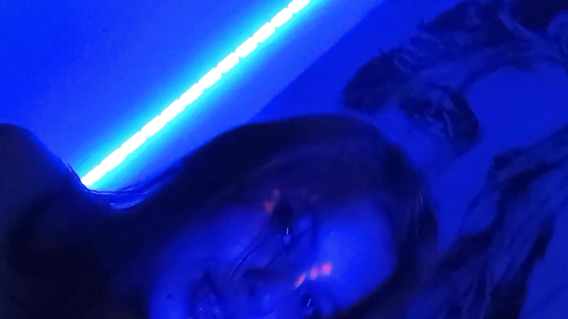 💙💙 - video by Nicollesexx cam model