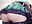 ass teasing - Foxy-lady 的视频