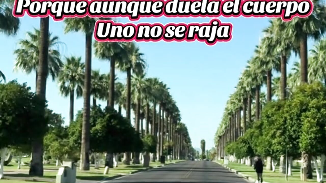 1000002933 - video by cochmadrr cam model