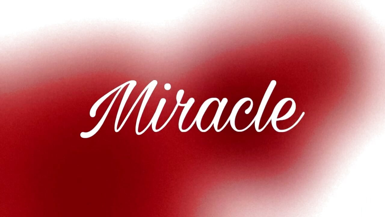✨miracle✨