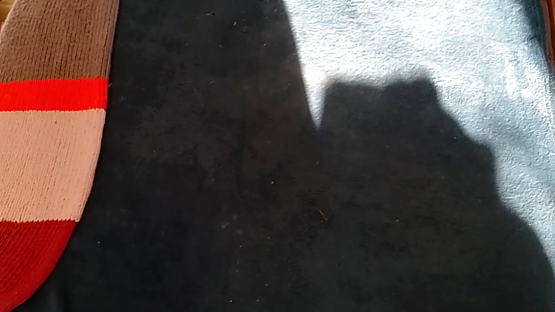 VID_20251117_150143 - video by Daddyetsalope cam model