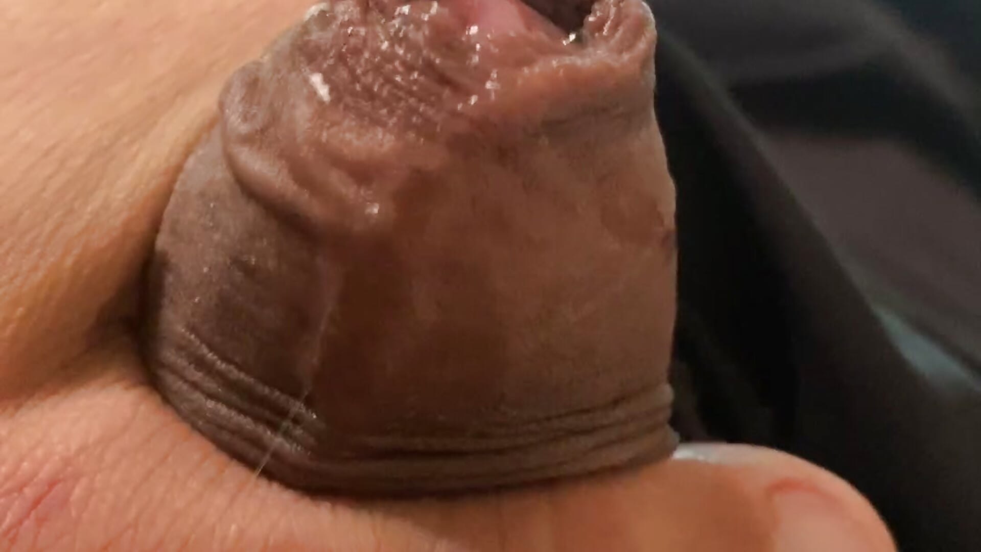 Loro170892 - Cam Model Trending Video 3748