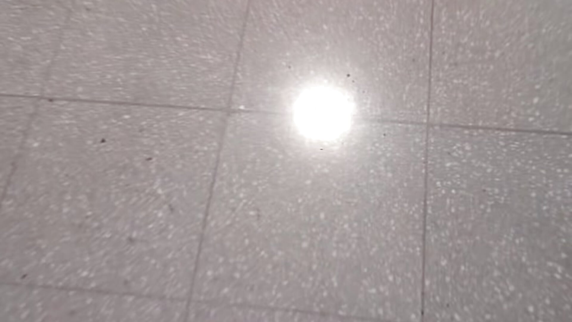 Horny in mens bathroom - vídeo de Eveelync25_ modelo de câmara