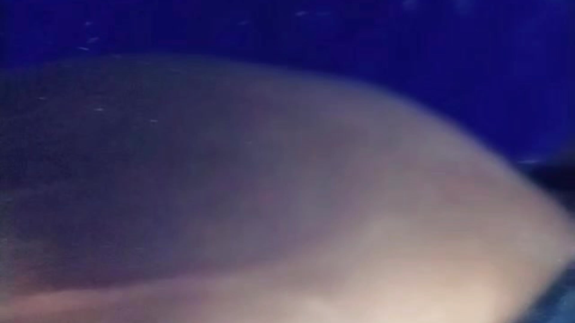 my ass in the shower – video od webkamerové modelky NaughtyMooon