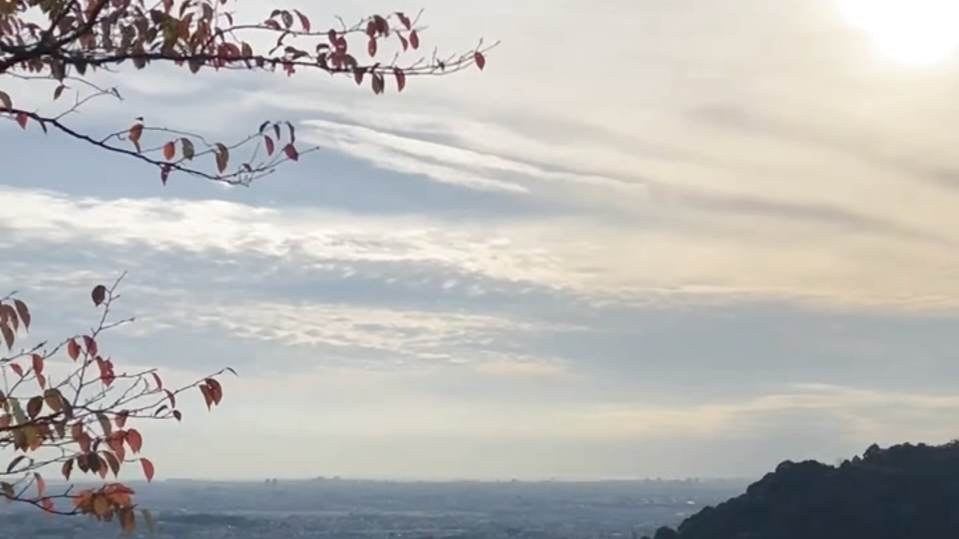 🌅－カメラキャストの_NATSUMIの動画