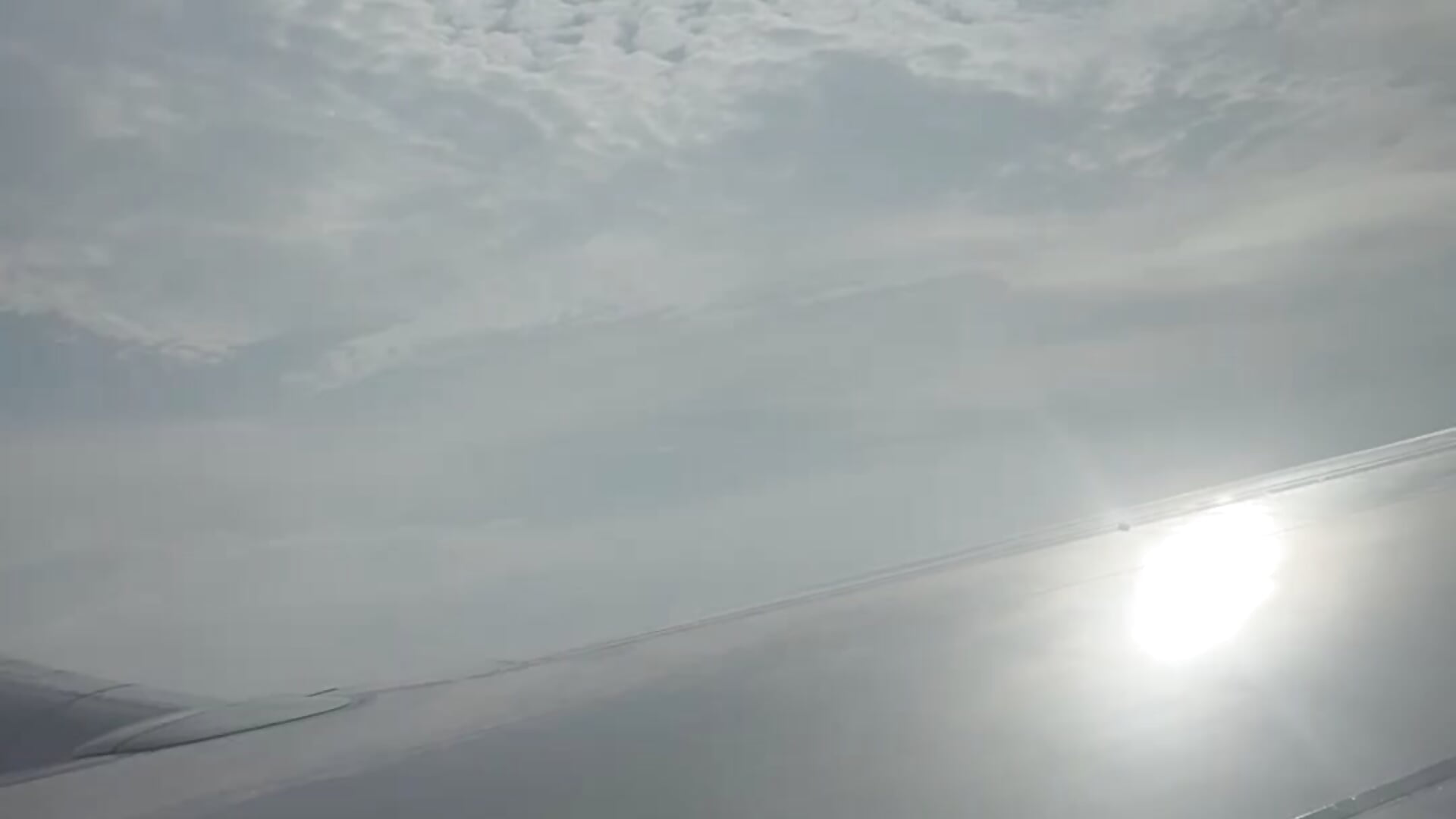 IMG_3310 - video by Alive045 cam model