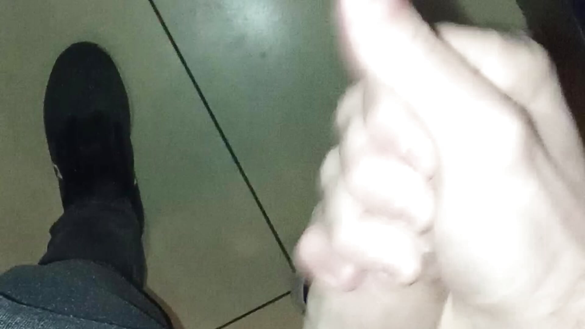 Je marque mon territoire au centre commercial 😈 - video by elias_milo cam model