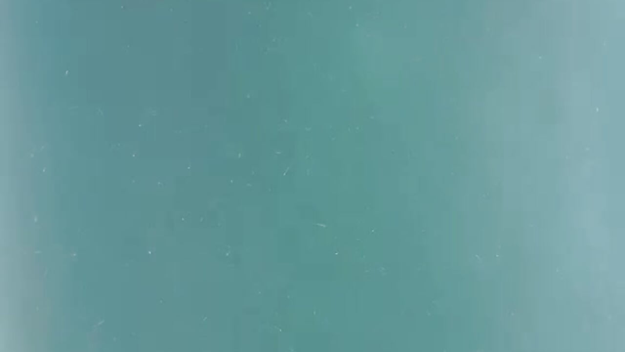 1000083889 - video oleh wakahoe kamera model