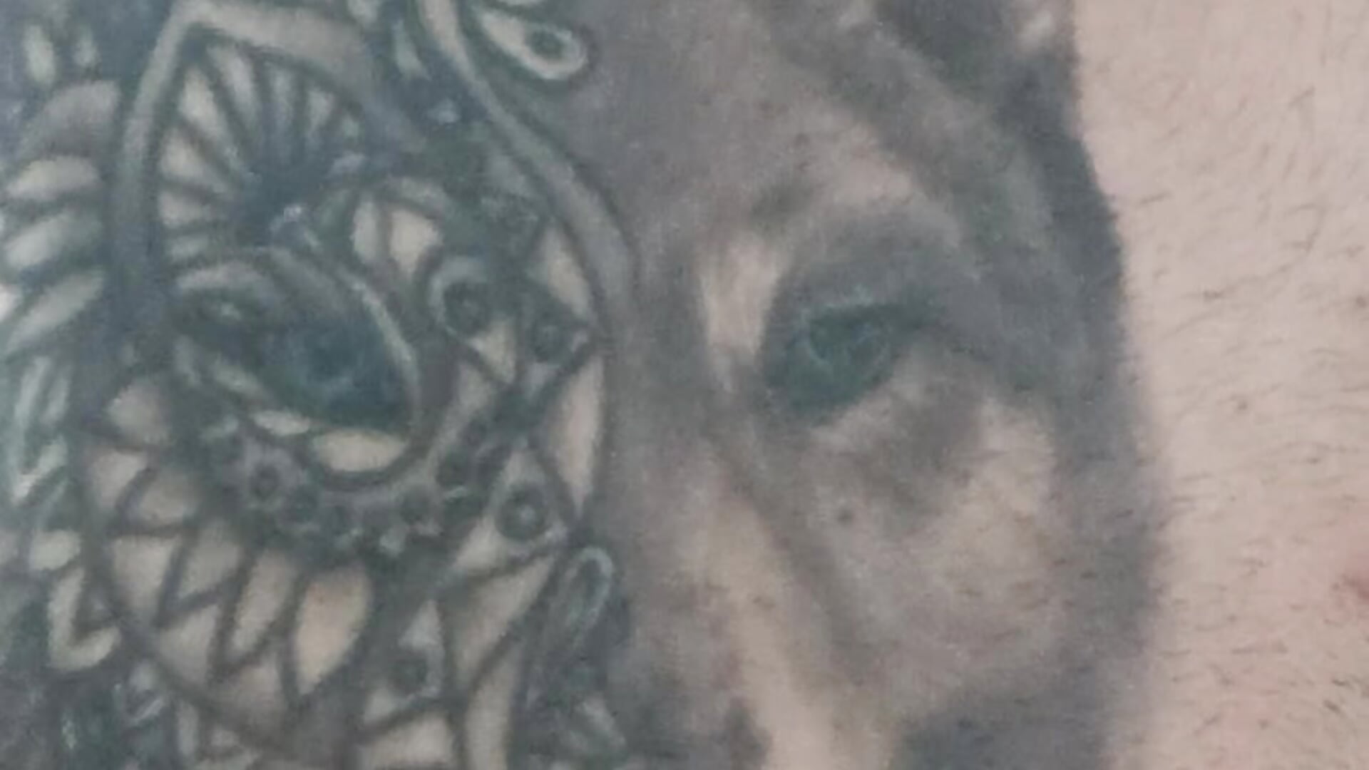 VID_20251125_170311 - video by ruampab cam model