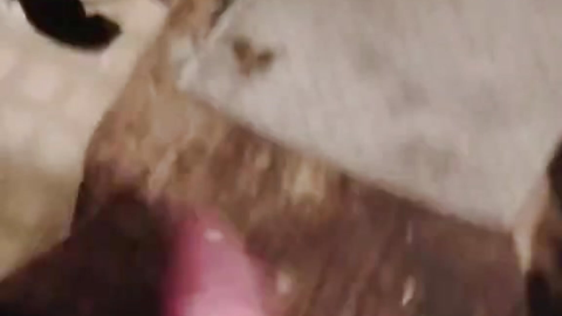 1000000345 - video 25clouds kameramallilta