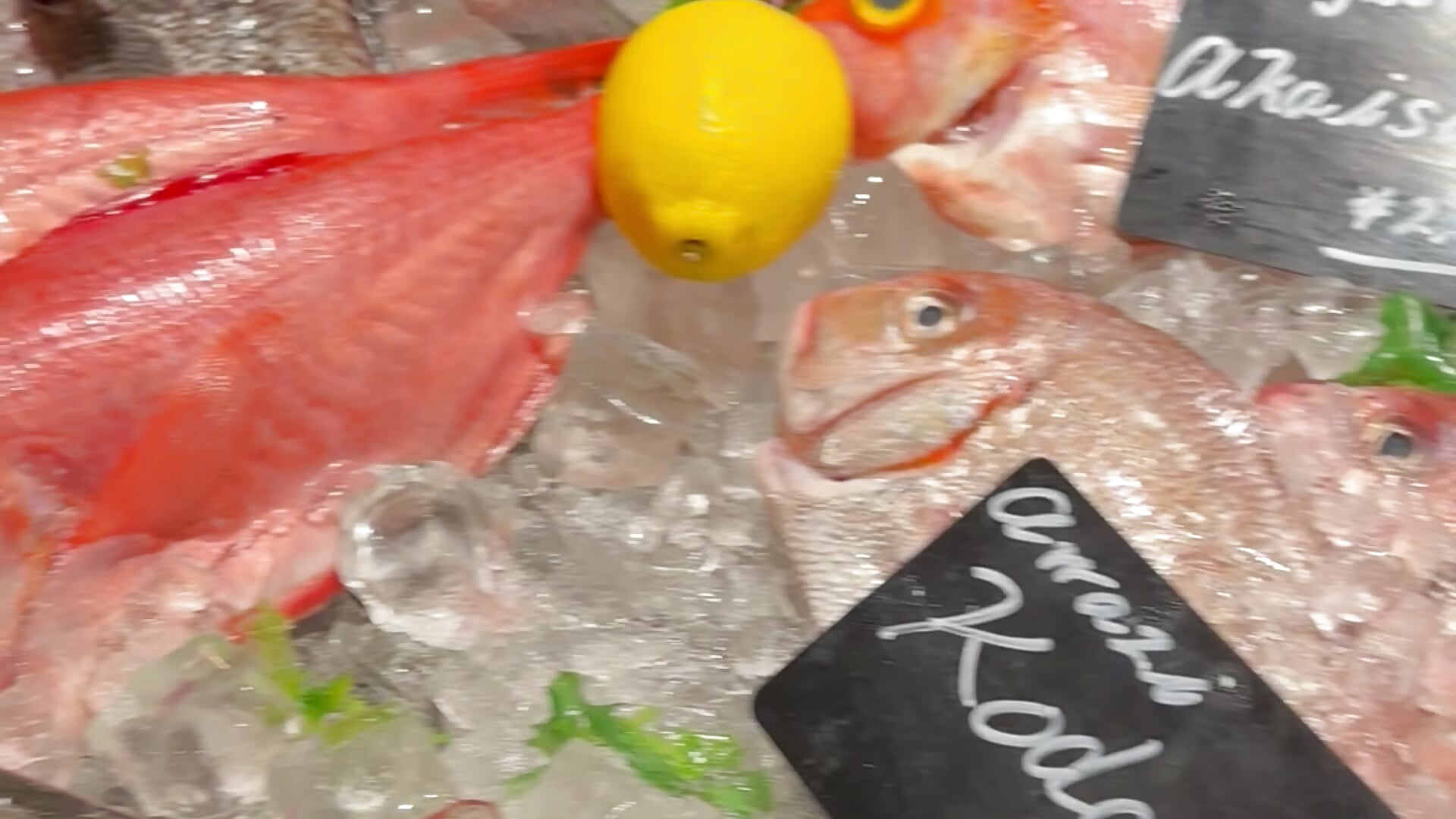 🐟– Kurumin_0303 kameramodell videója