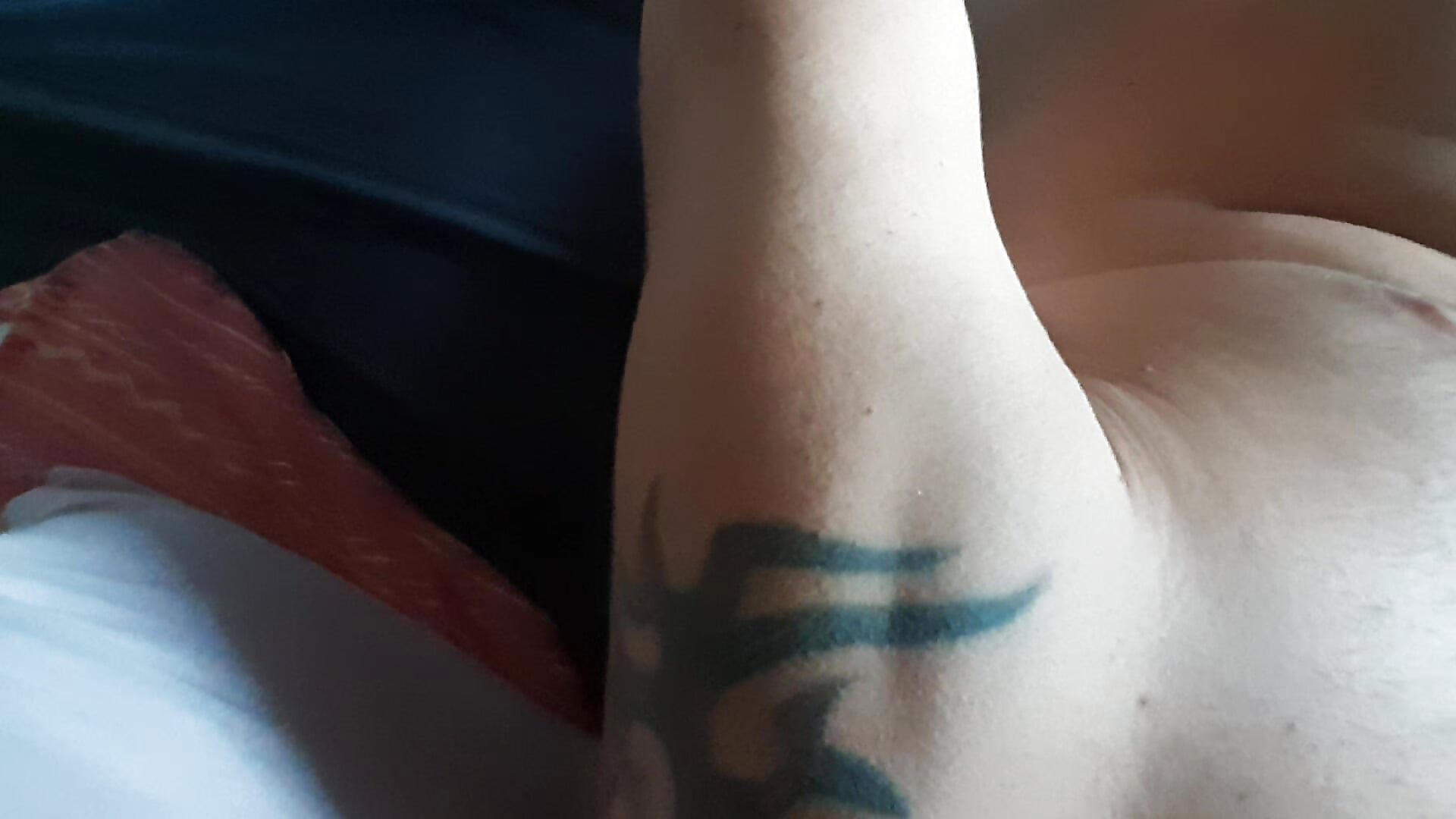 il mio tatù