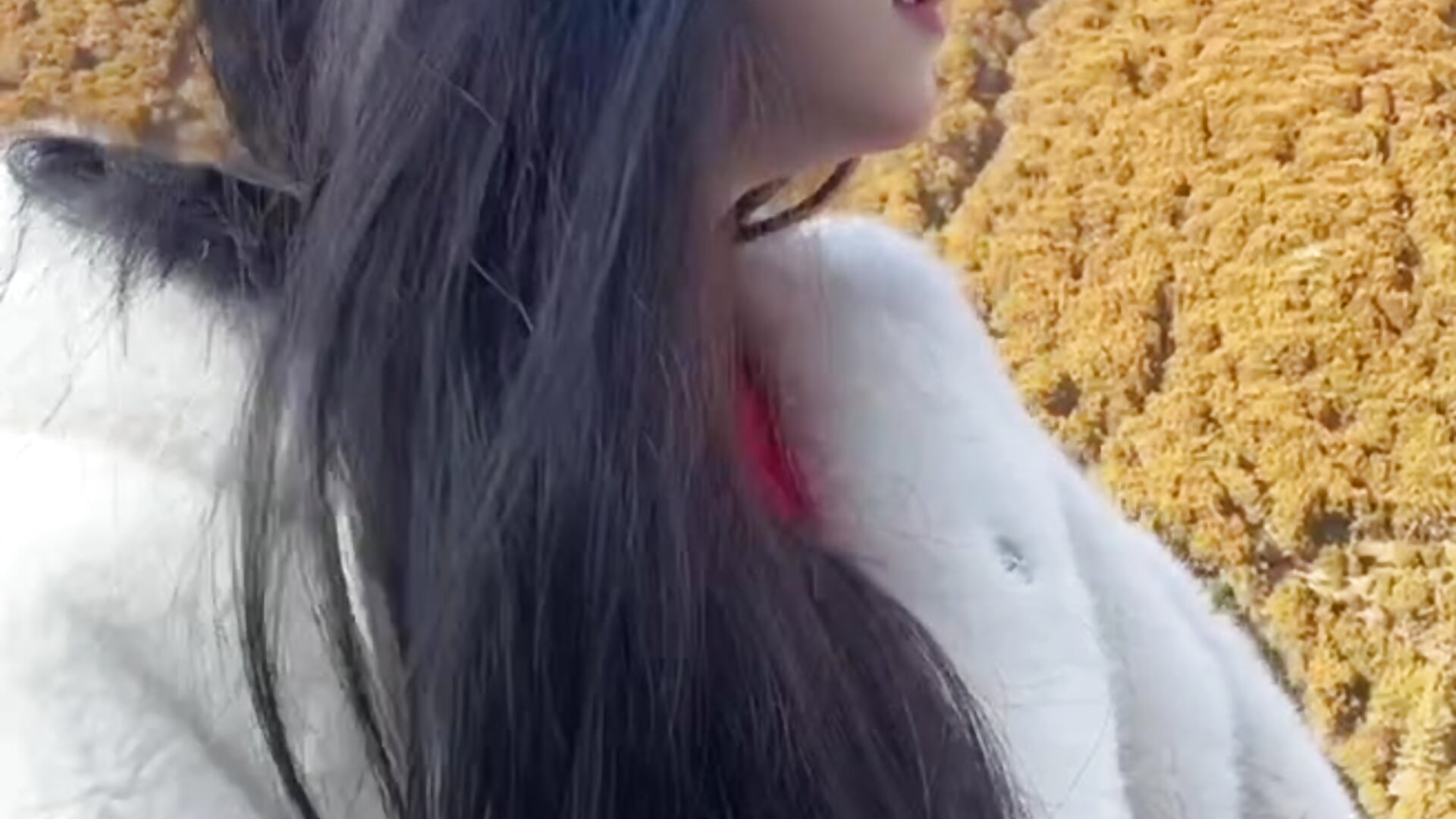 猪猪的 - video by Zhu-zhu- cam model