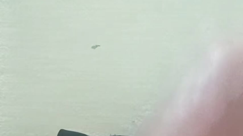 VID20251216215007 - video by chiyalove cam model