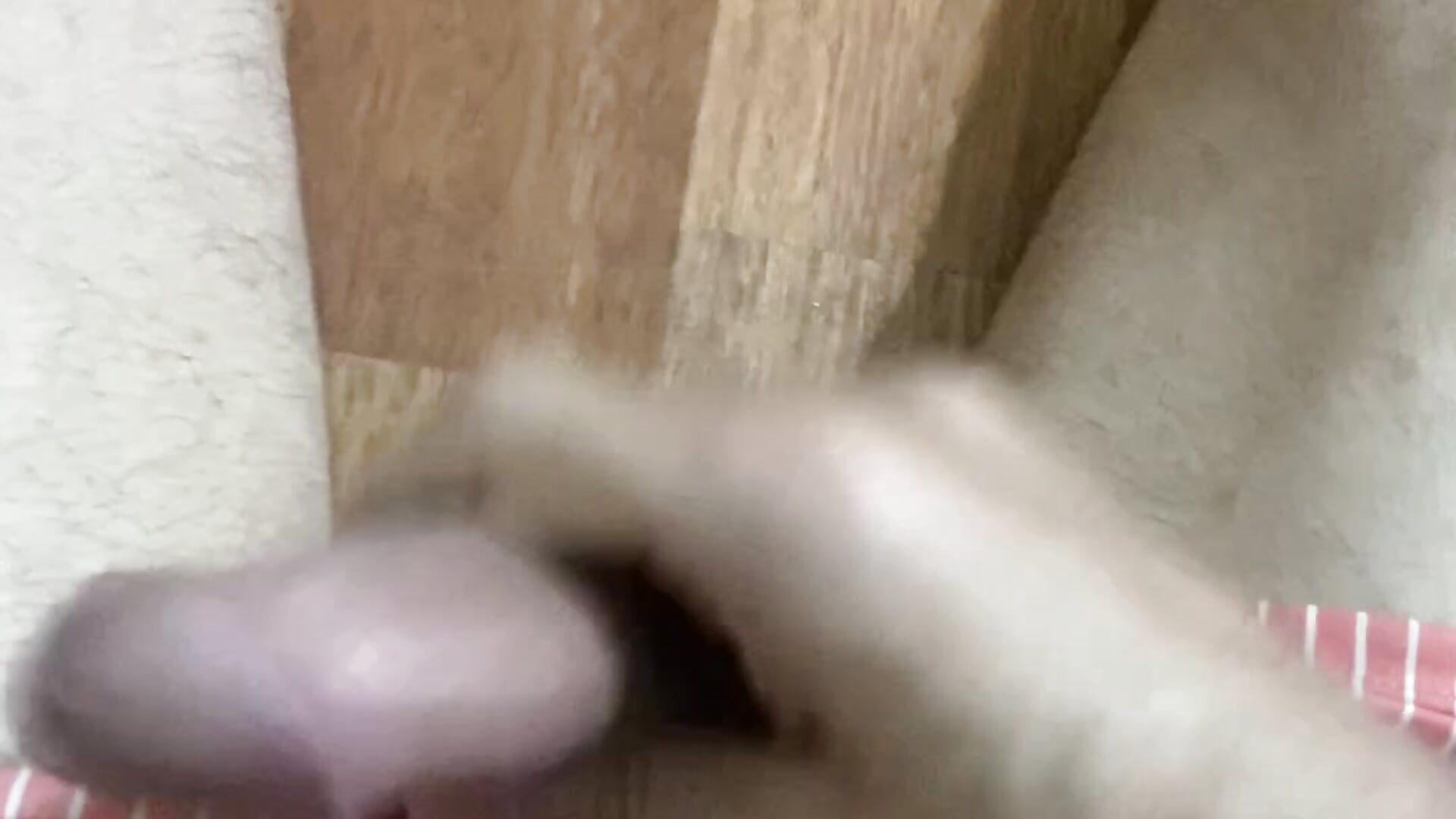Cumshot💦 my socks
