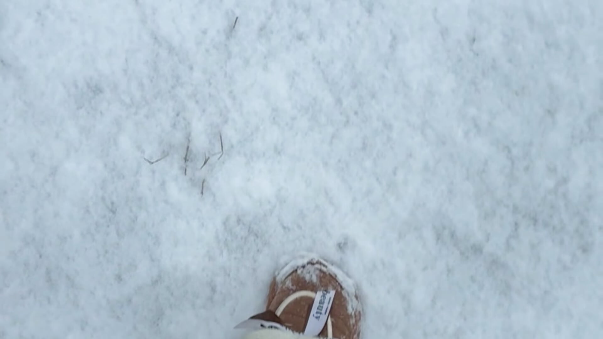 ❄️⛄️☃️ - video by Adell_Love cam model