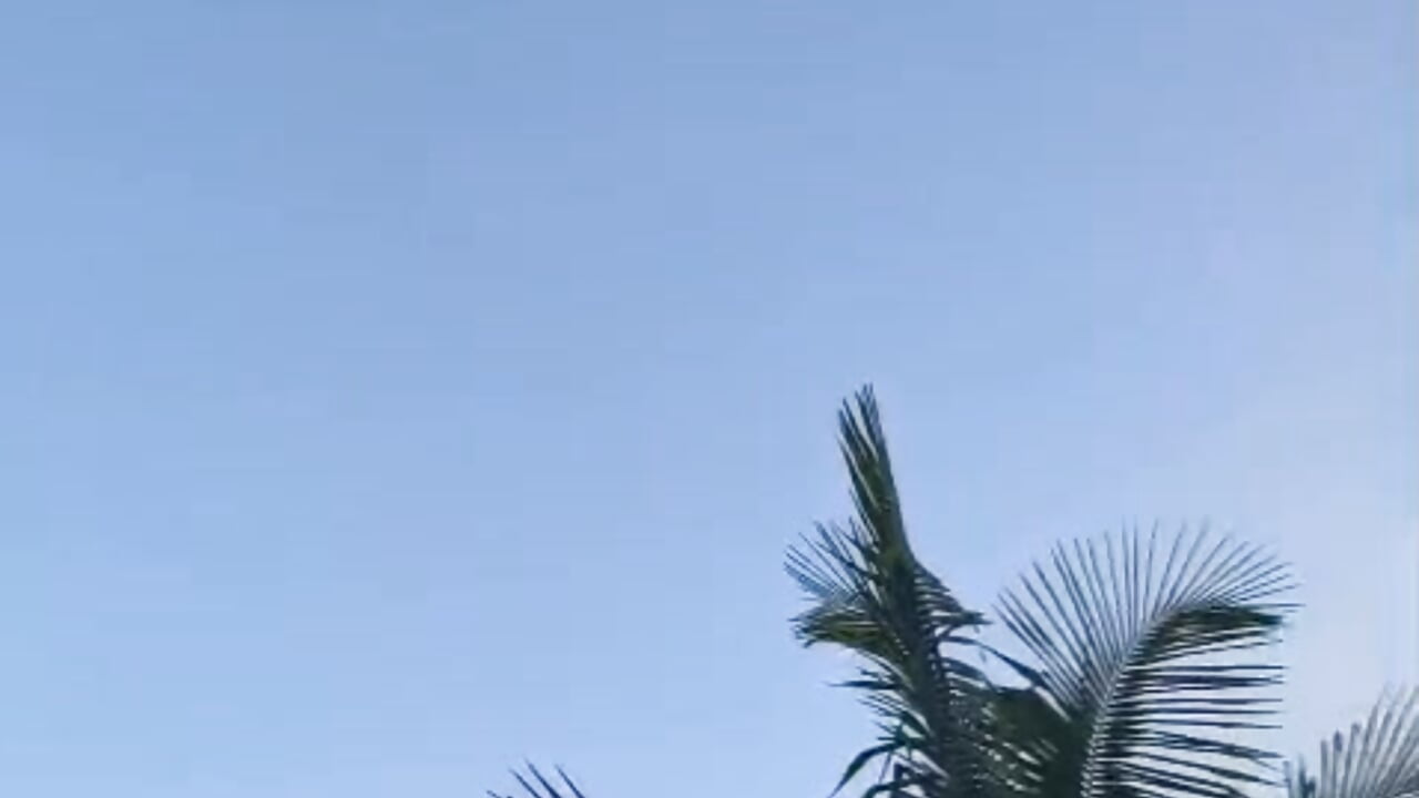 Loving every day, loving nature 🌺❤️‍🔥💖 - vídeo de Lia__James modelo de câmara