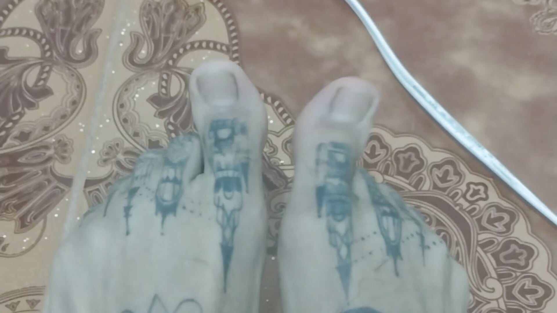 👣👣👣👣👣