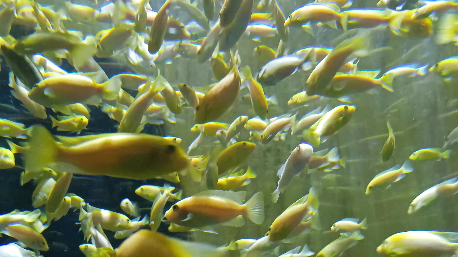 VID_20250510_103544 - video by banana21mlem cam model