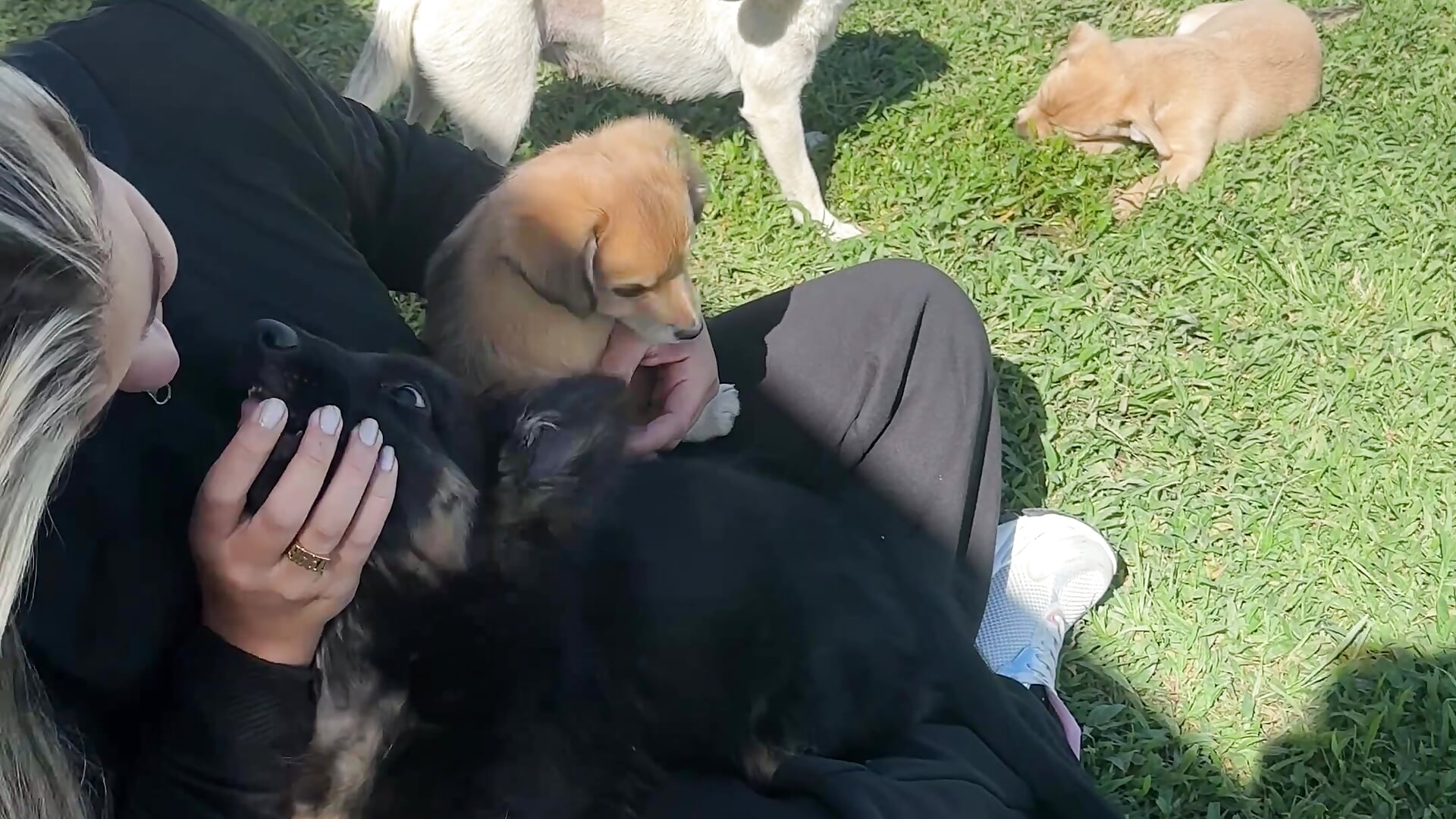 Love it - video by Sofia_Lopezz1 cam model