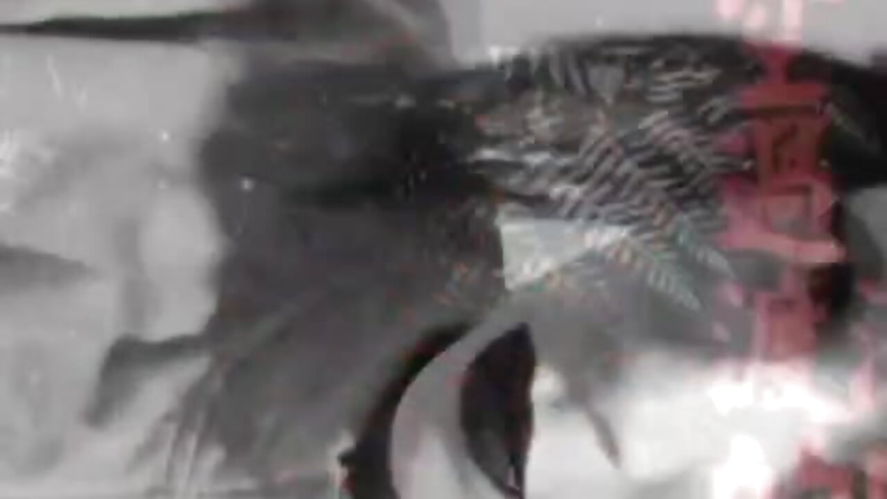 hey cute - vídeo de la modelo de cam violetta_sweett