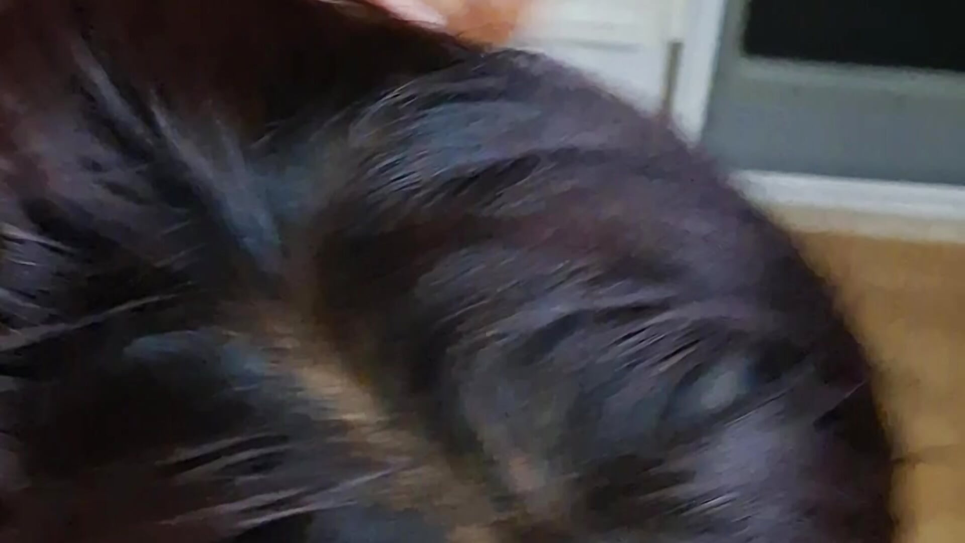 Getting high and heads - video by Spunpersuasion cam model