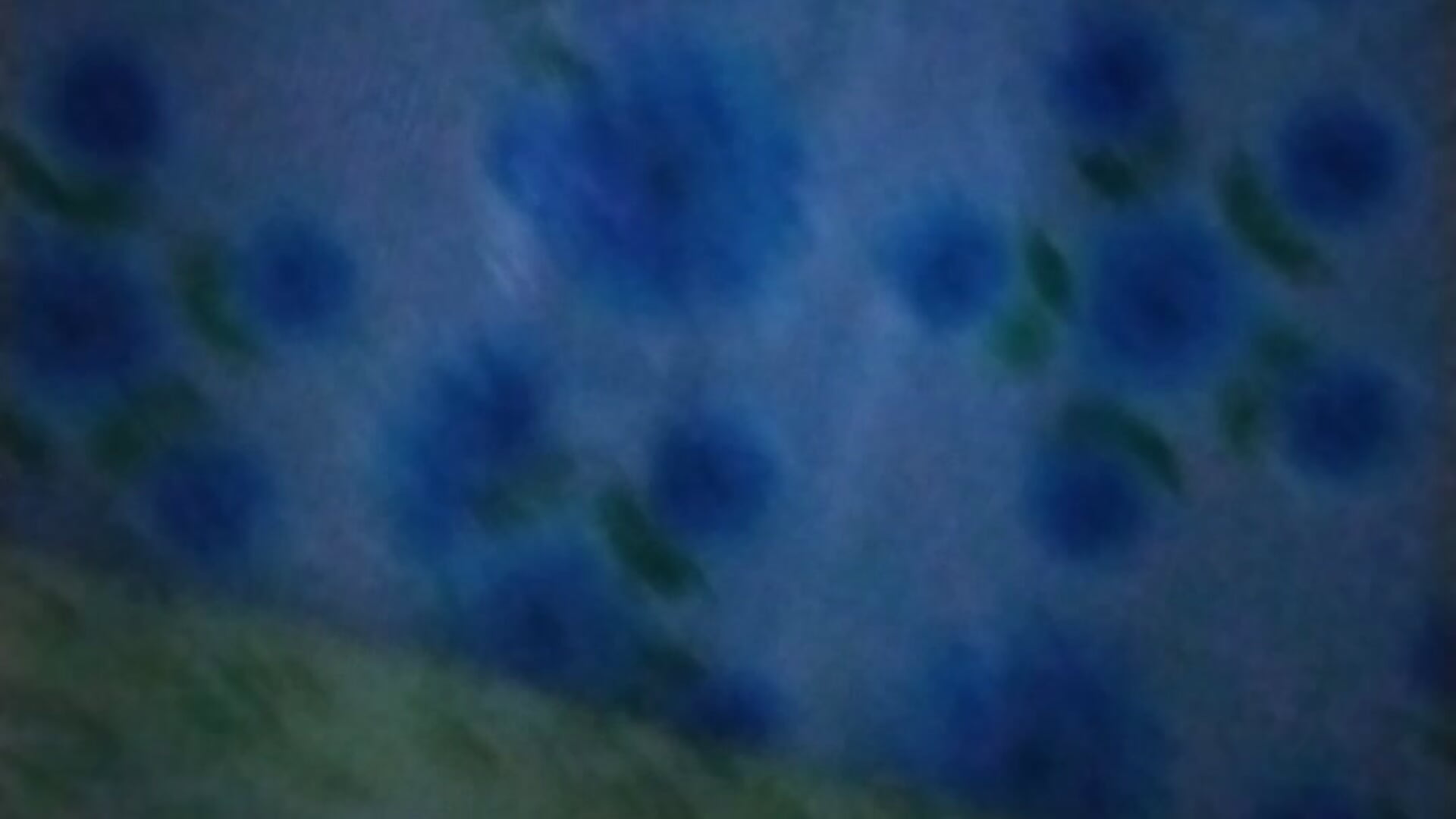 Masturbandose parte 2 y la mejor - video by Chrisjaco cam model