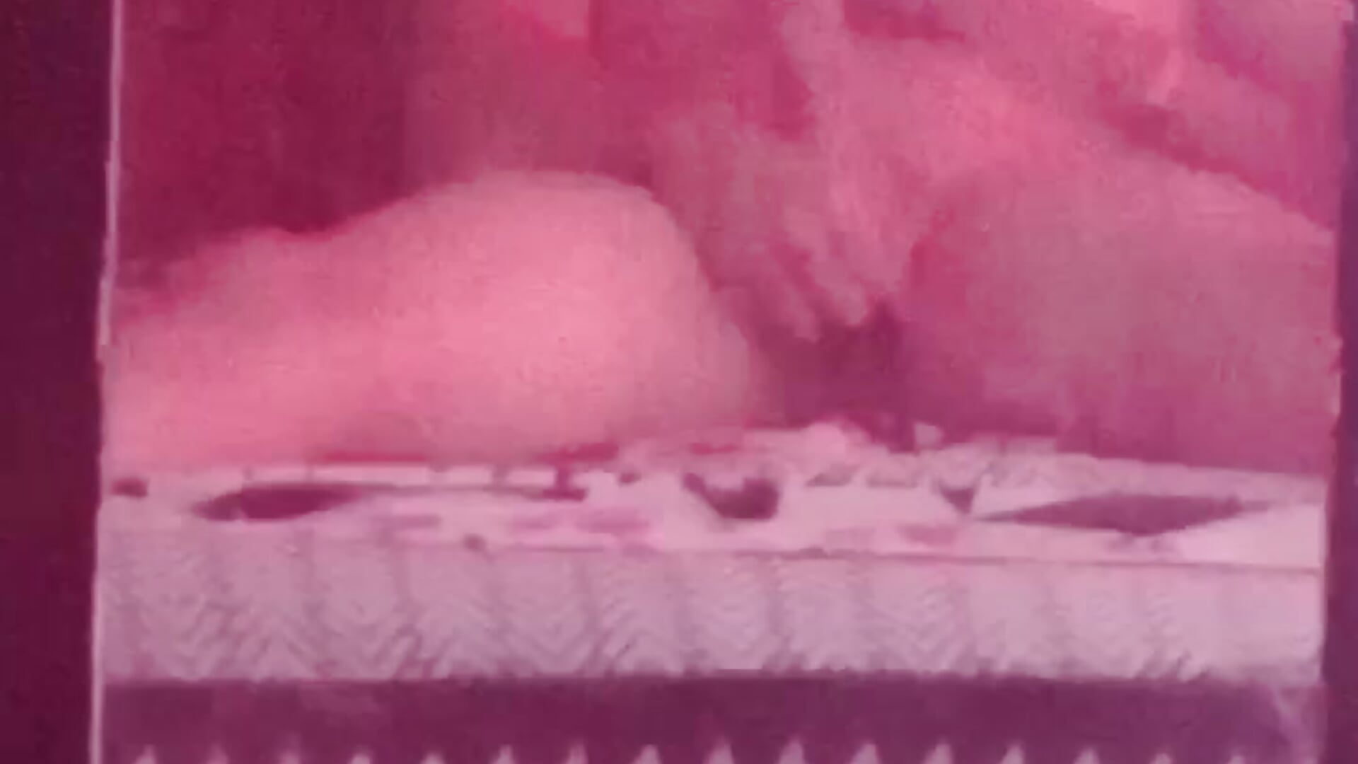 VID_20251107_121734_167 - video by CrownedScrumpy_1 cam model