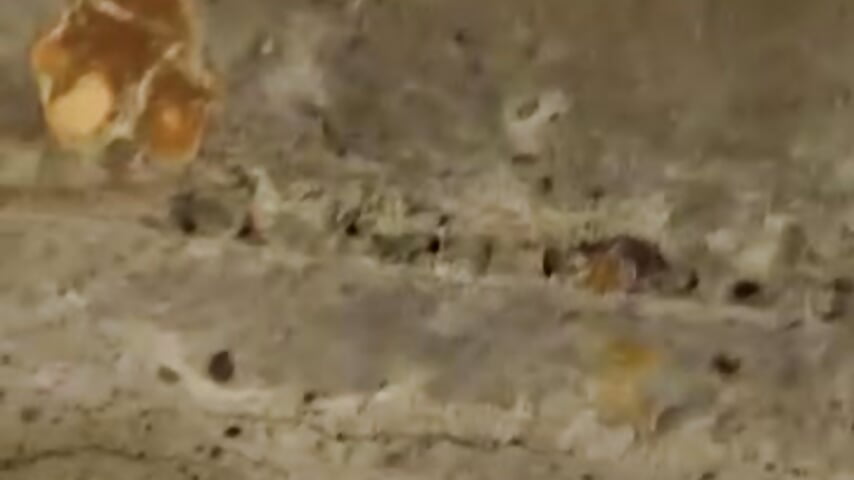 mischief in the park 👿 - video by SofhiaTaylor cam model