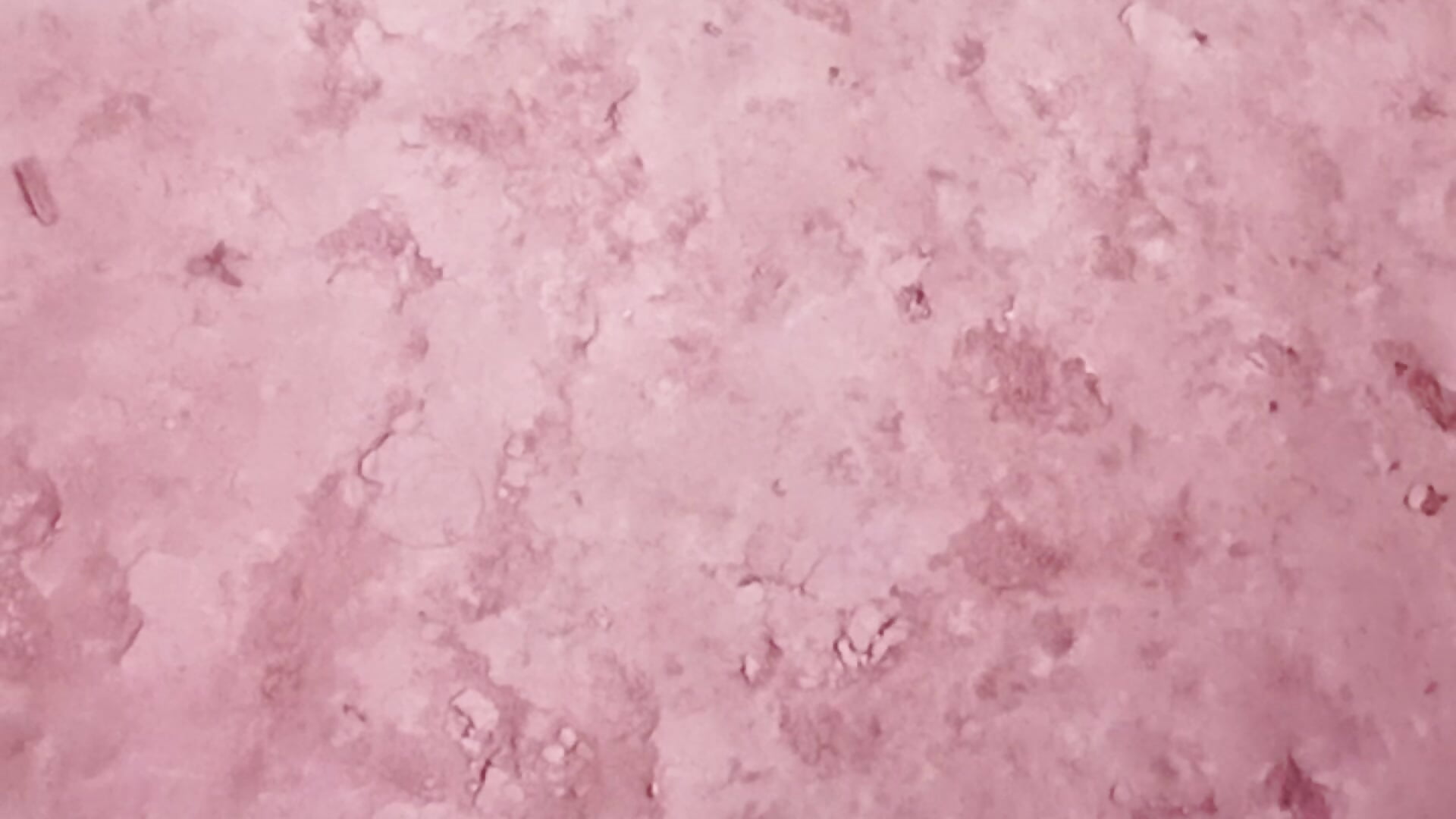 18392 - video by sjsvvsnsfahav cam model