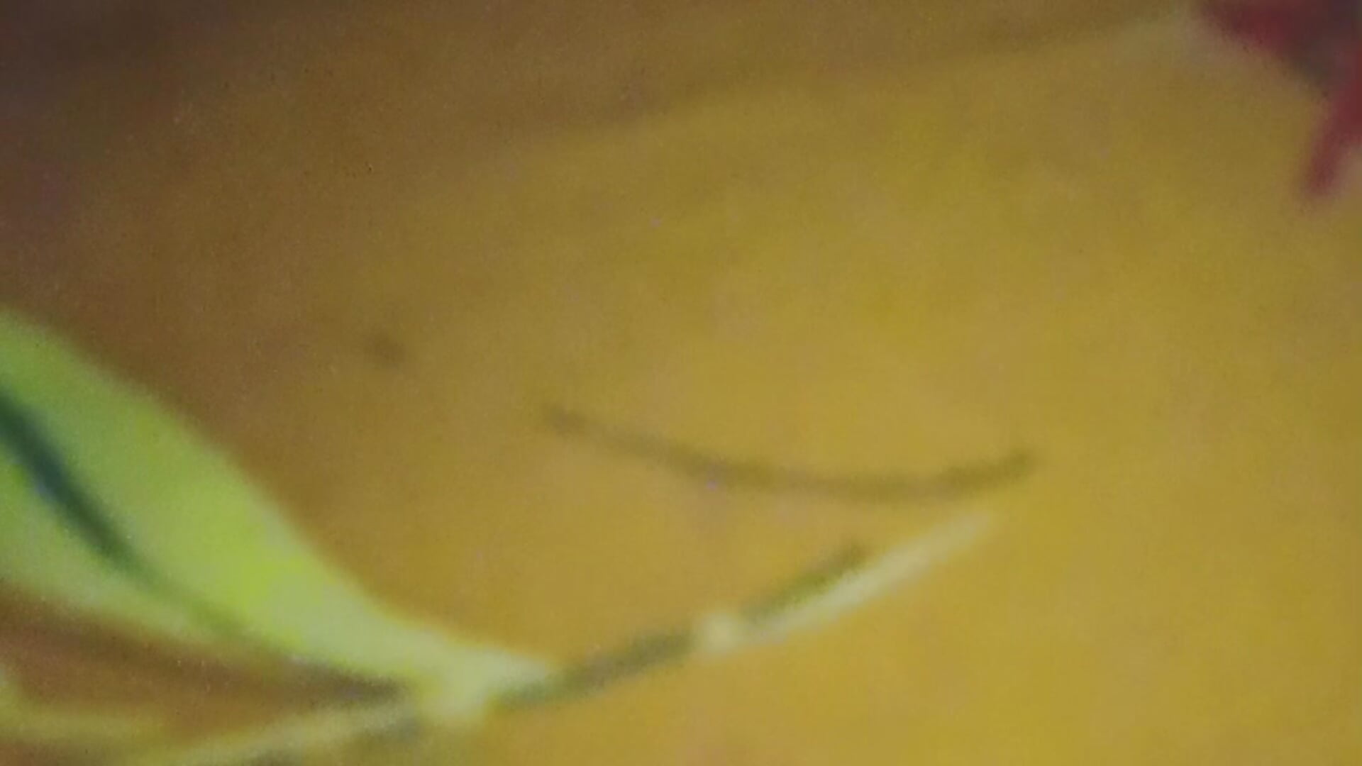 VID20251201202837– Alishababay kameramodell videója