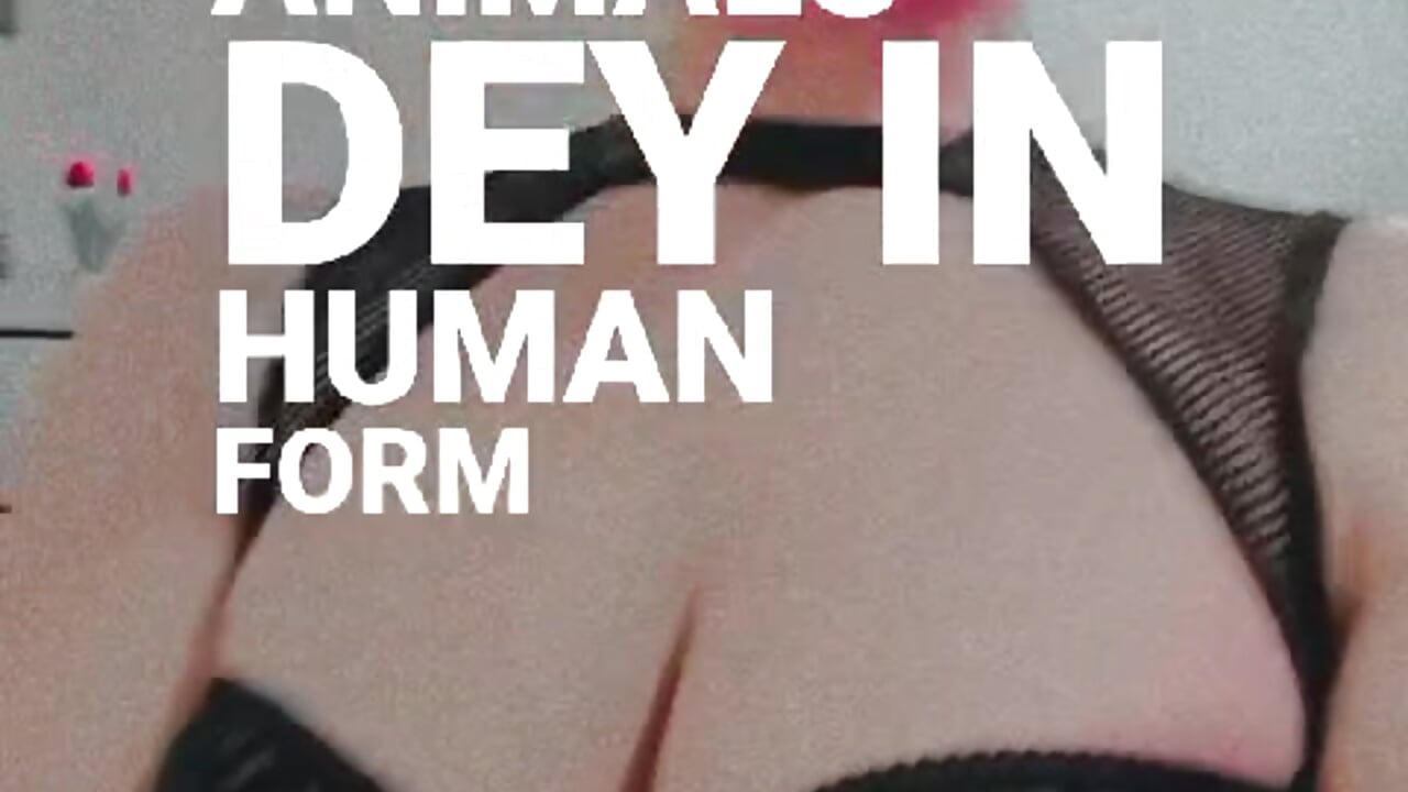 WhatsApp Video 2024-08-25 at 7,26,25 PM - vídeo de Erzsi-Moon modelo de câmara