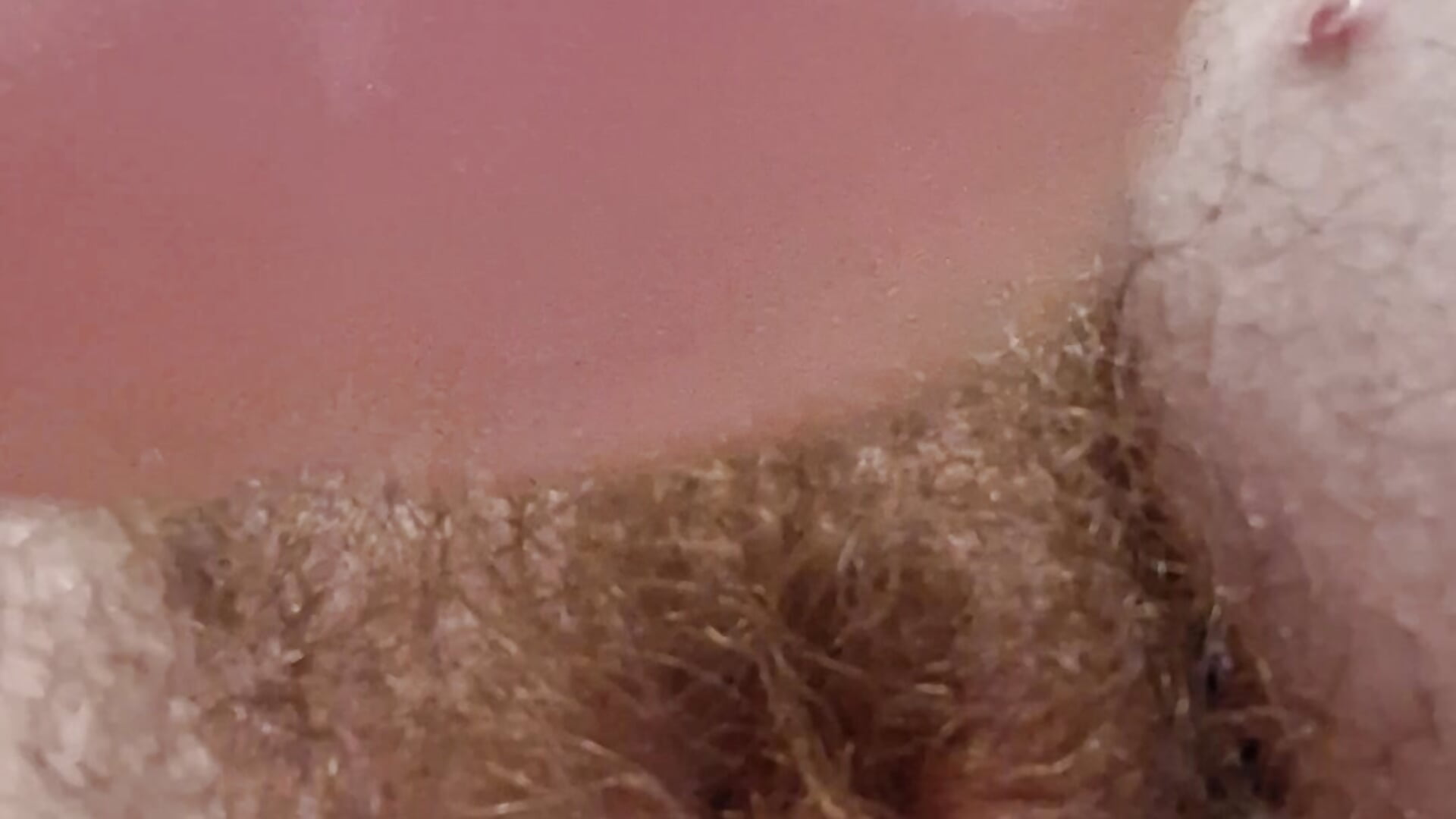 Rubbing ;3 - video by FantasyFurry cam model