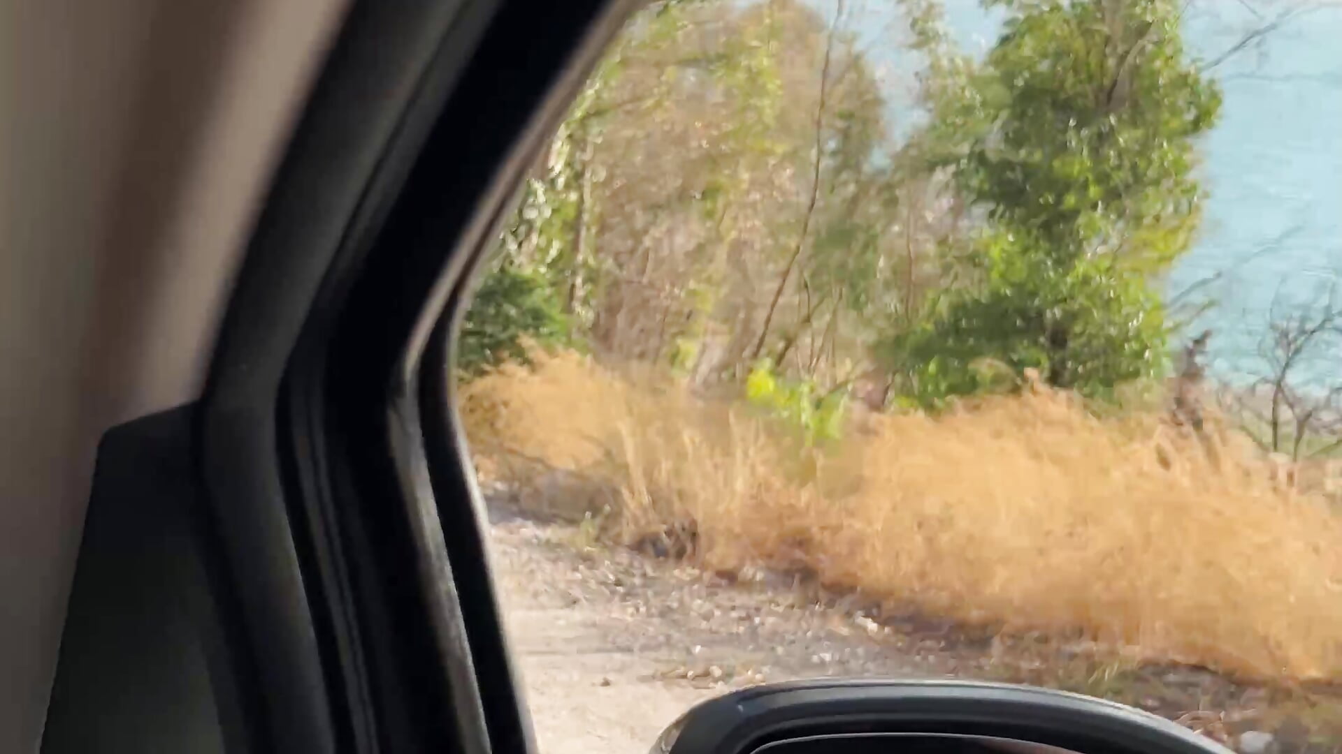 IMG_1700 — filmik kibrissexmachine, modela(-lki) na kamerkach