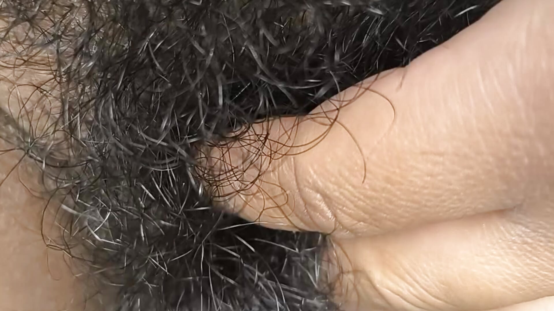 MY VERY  HAIRY PUSSY