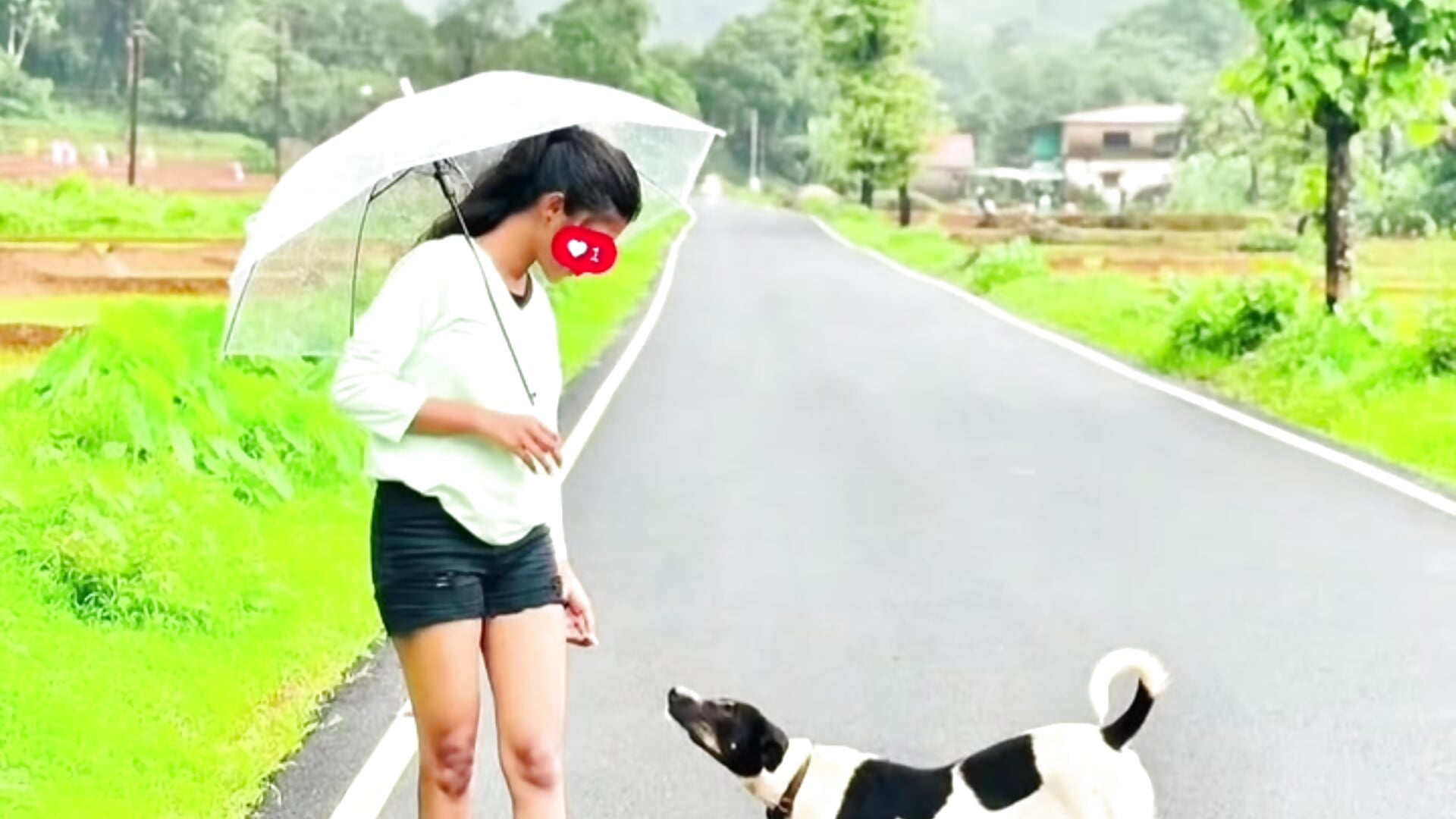 always  take of your dog , even if your world falls apart, he will be there for you......!!! - βίντεο μοντέλου lovely_monisha