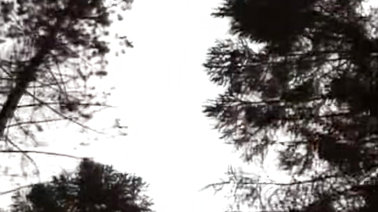 6e928b527acf329260b273c439f6dee7 - video oleh AK47_gril kamera model