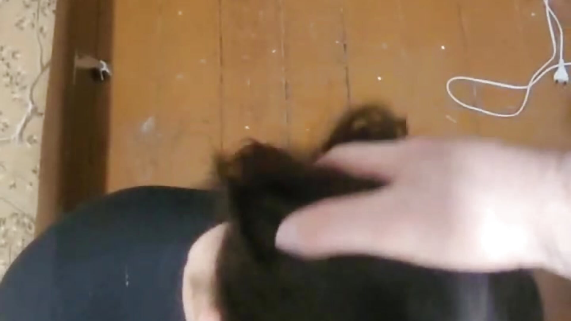 He came twice on my face and in my pussy. - video od modelky/modela Ant_Power