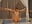 sexy yoga - video by StellaCardo cam model