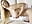 boobs play in doggy - video di StellaCardo modella di cam