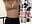 I squirted in the fitting room - video di StellaCardo modella di cam