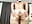 naked mature body and masturbation - Sara_BigAss- 캠 모델의 동영상