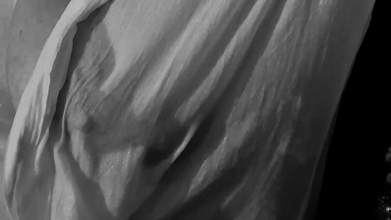 2_5278270448914675393 - video by MargaretStar1 cam model