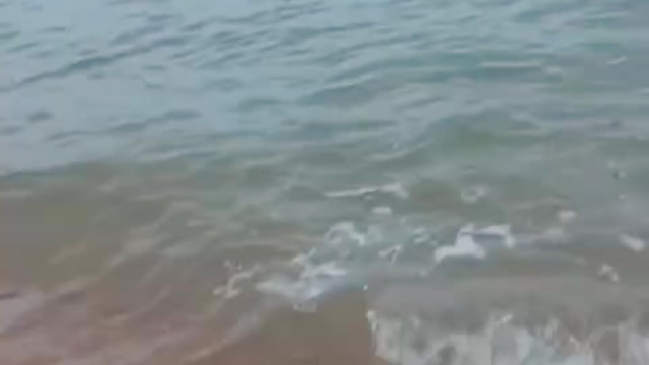 Everything is wonderful at sea🏖️ - video by tiffanybrowm cam model