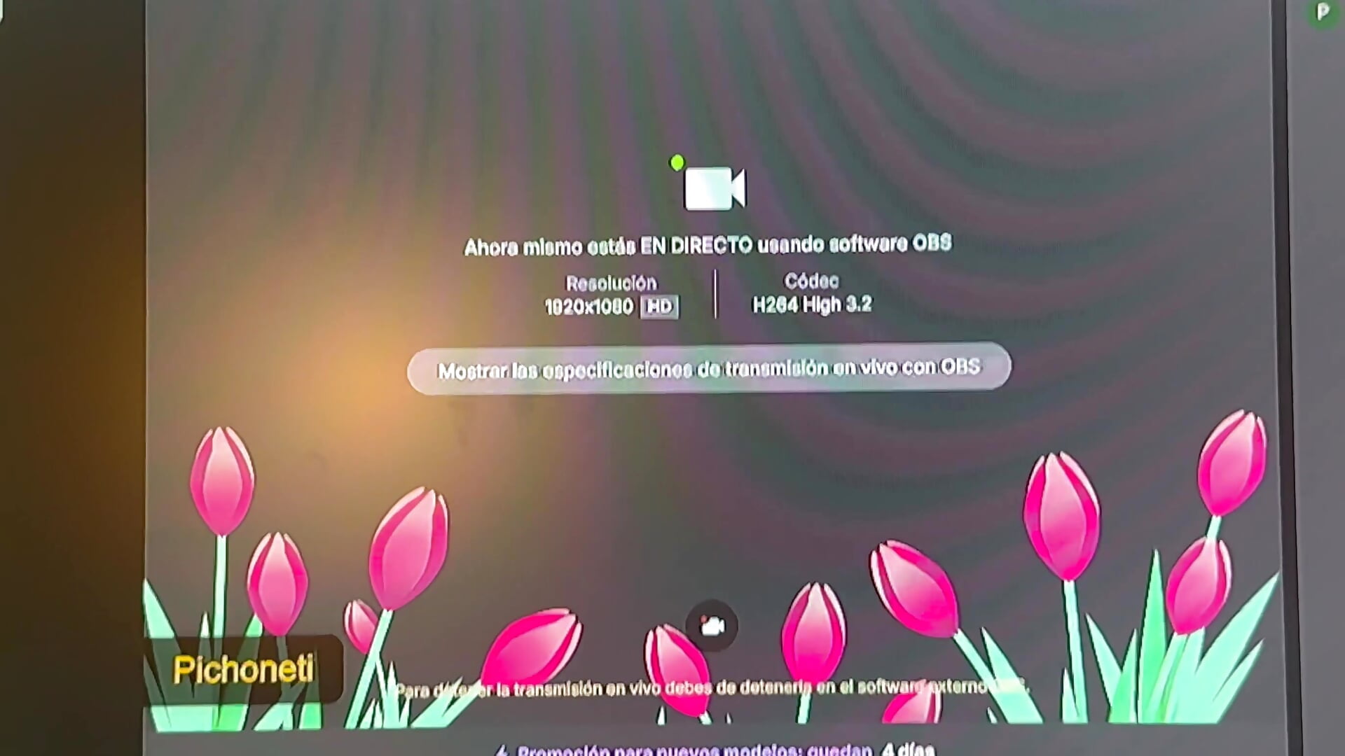 GRACIAS POR ESTAS FLORES 🌷 AMO LAS FLORES VIRTUALES - video av victoria___moon cam model