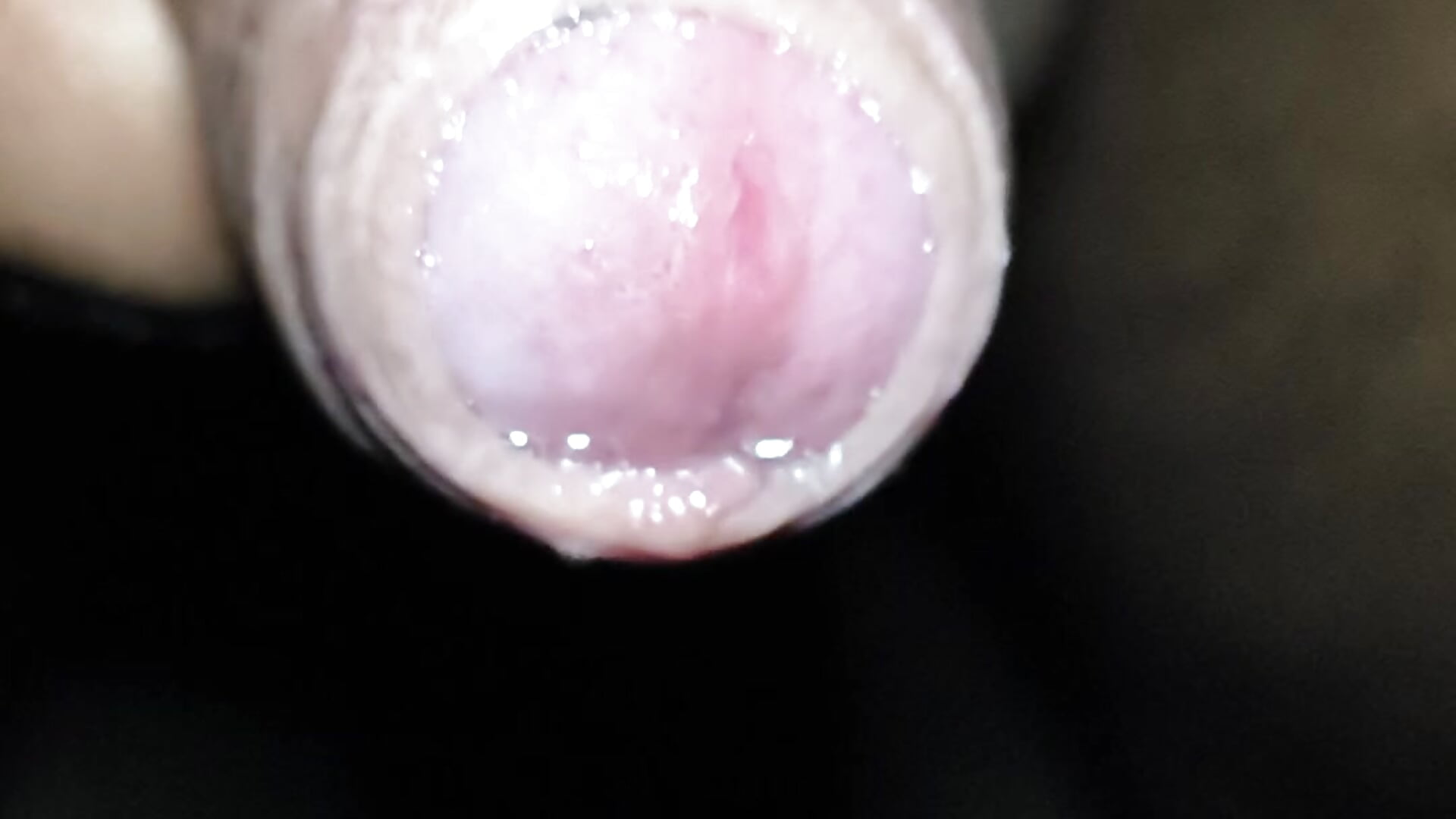 Dick roll - відео від вебкаммоделі BENGALIDICK-1