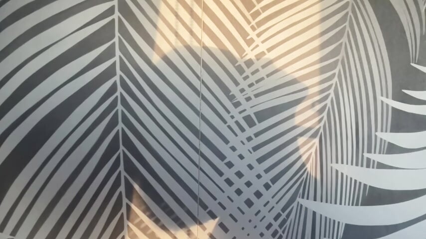 Sunset 🌅 - vídeo de la modelo de cam moon_siren