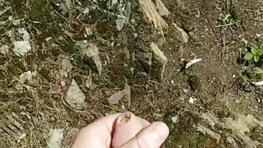 The weather was so nice and i took a break during my hike and just jerked off. Enjoy ;)