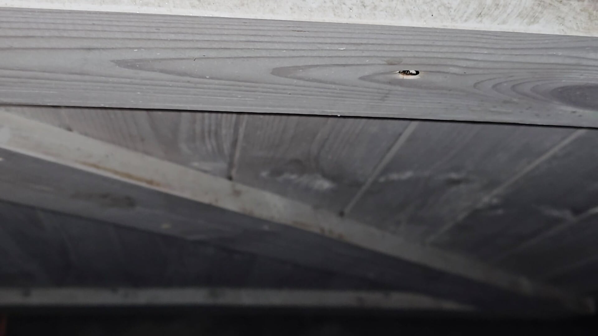 Ronnieedge - Trendy videá camgirls 6031