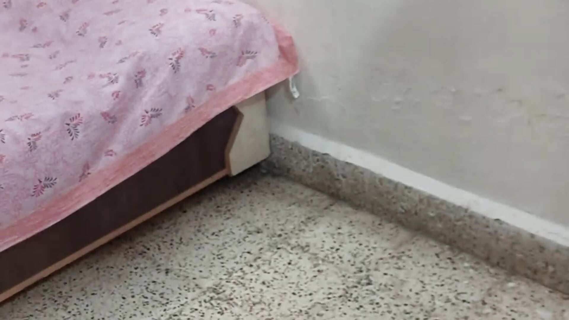 1000693674 - відео від вебкаммоделі Decent-Couple25